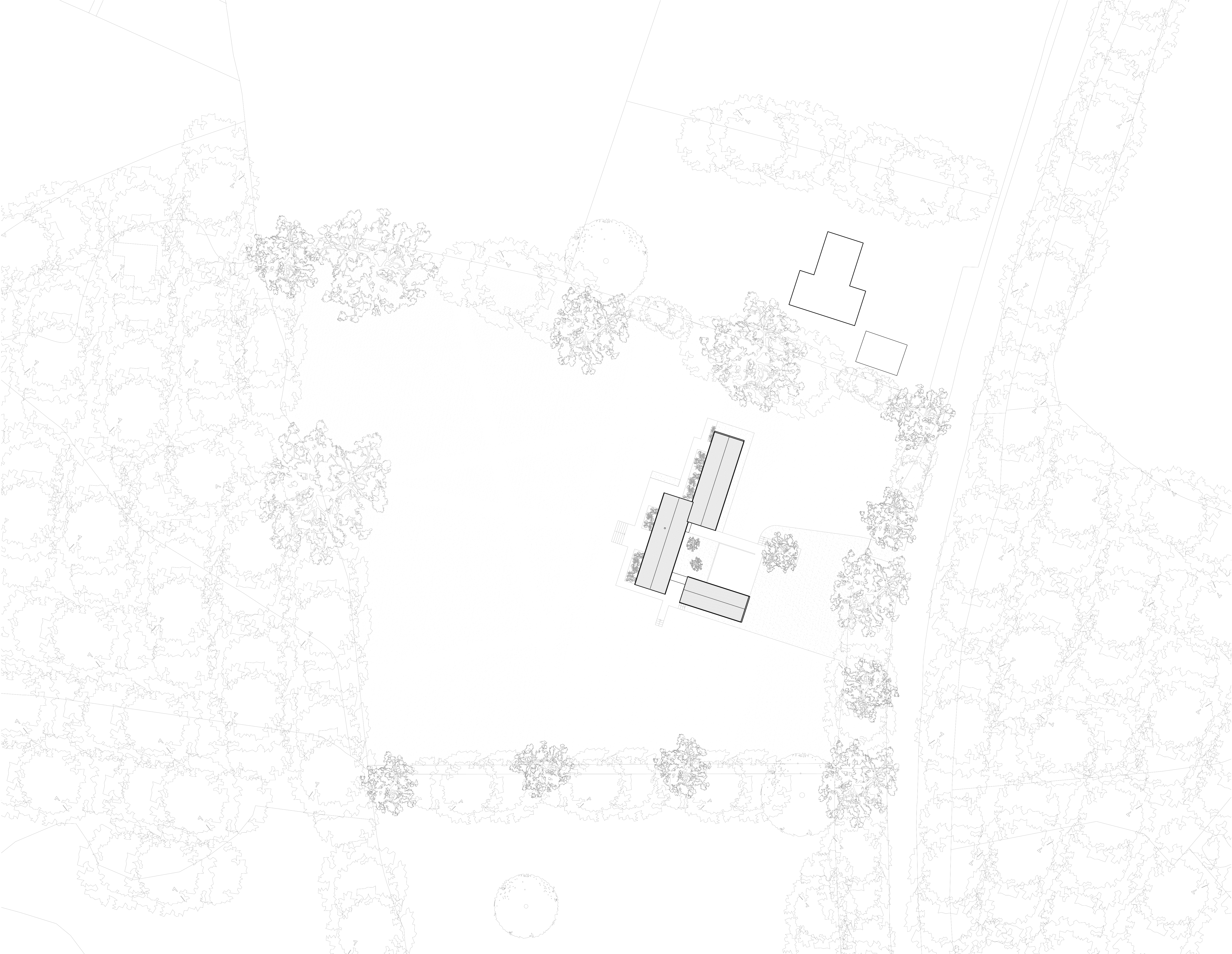 UK 1921 BLZC_House in a Clearing_Proposed Site Plan_V1